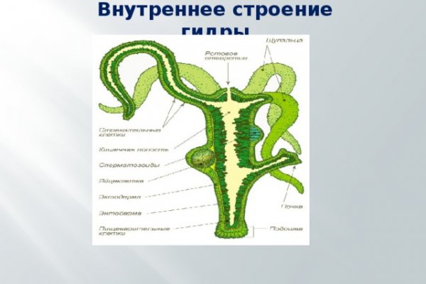 Кракен в обход